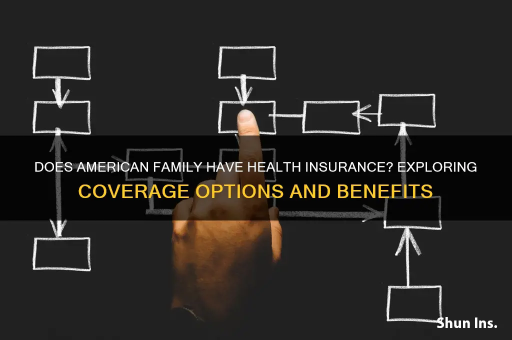 does american family have health insurance