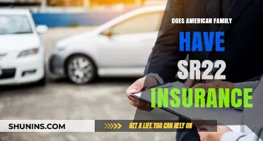 Does American Family Offer SR22 Insurance? What You Need to Know