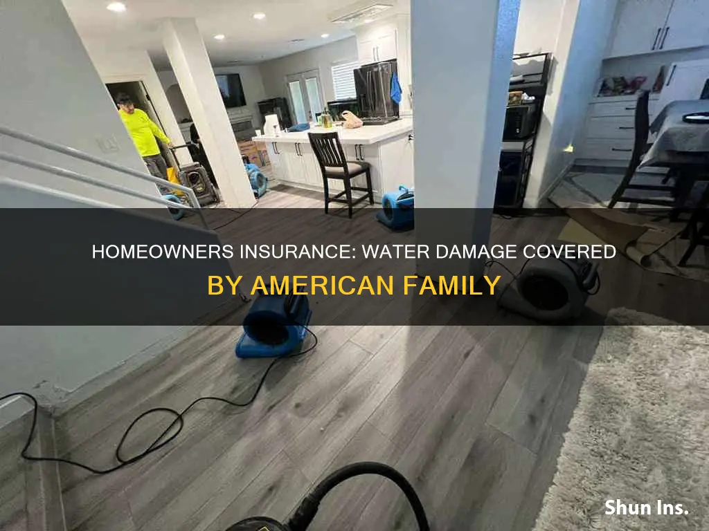does american family homeowners insurance cover water damage