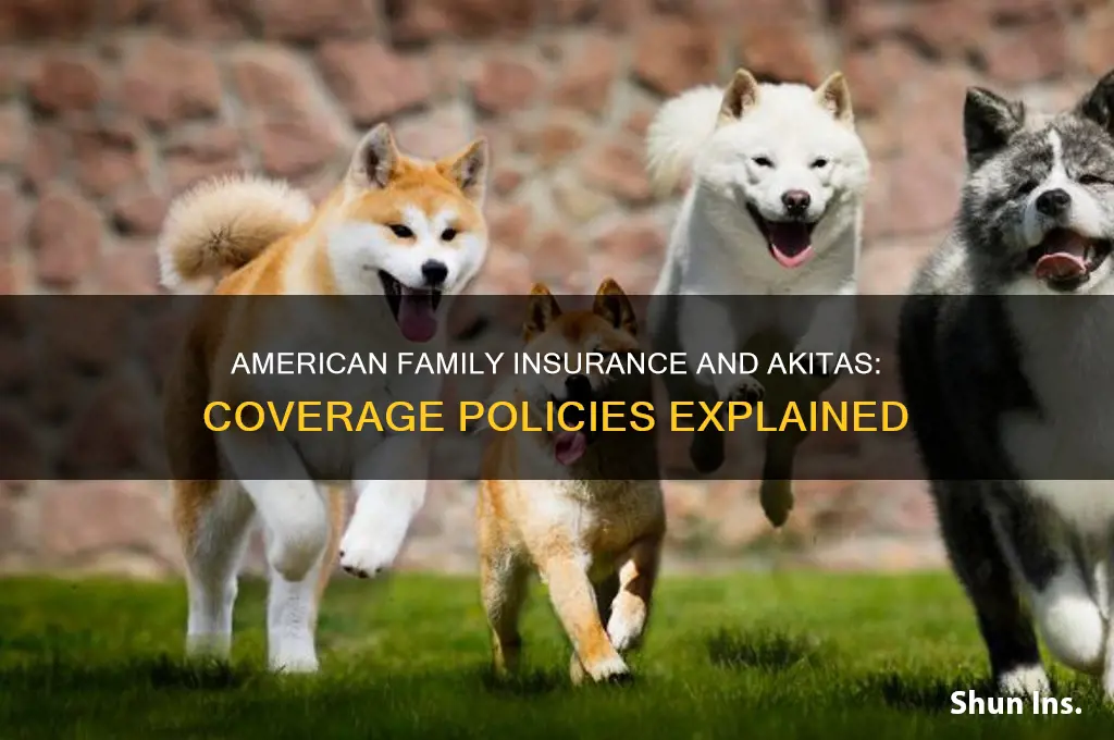 does american family insurance allow akitas dogs
