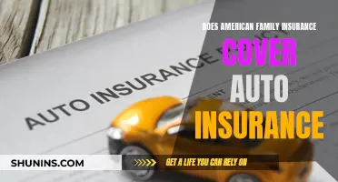 Does American Family Insurance Cover Your Car Too?