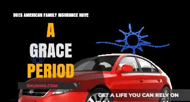American Family Insurance Grace Period: What You Need to Know