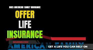 American Family Insurance: Do They Provide Life Insurance Policies?