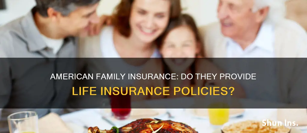 does american family insurance offer life insurance