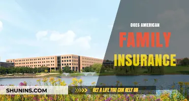 Does American Family Insurance Meet Your Coverage Needs? A Review