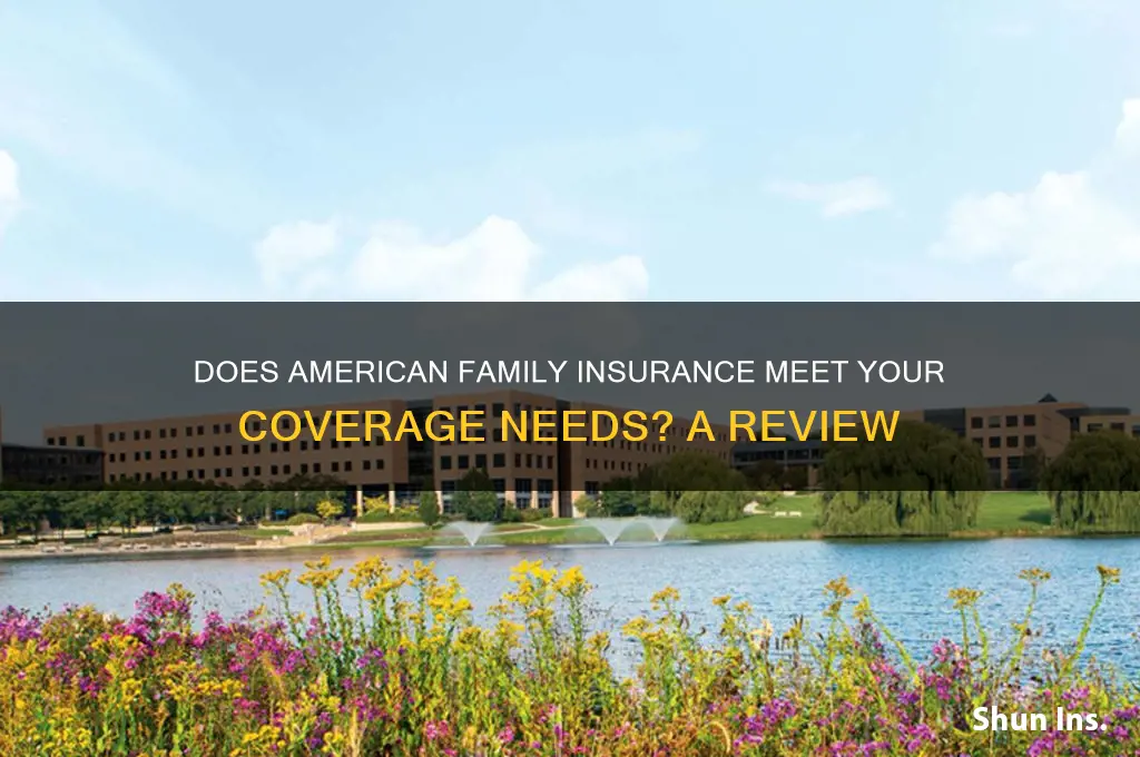 does american family insurance