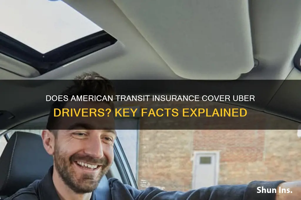 does american transit insure uber drivers