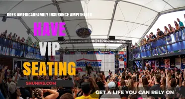 American Family Insurance Amphitheater VIP Seating: What You Need to Know