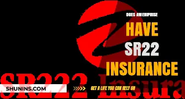 Does Ameriprise Offer SR22 Insurance? A Comprehensive Guide