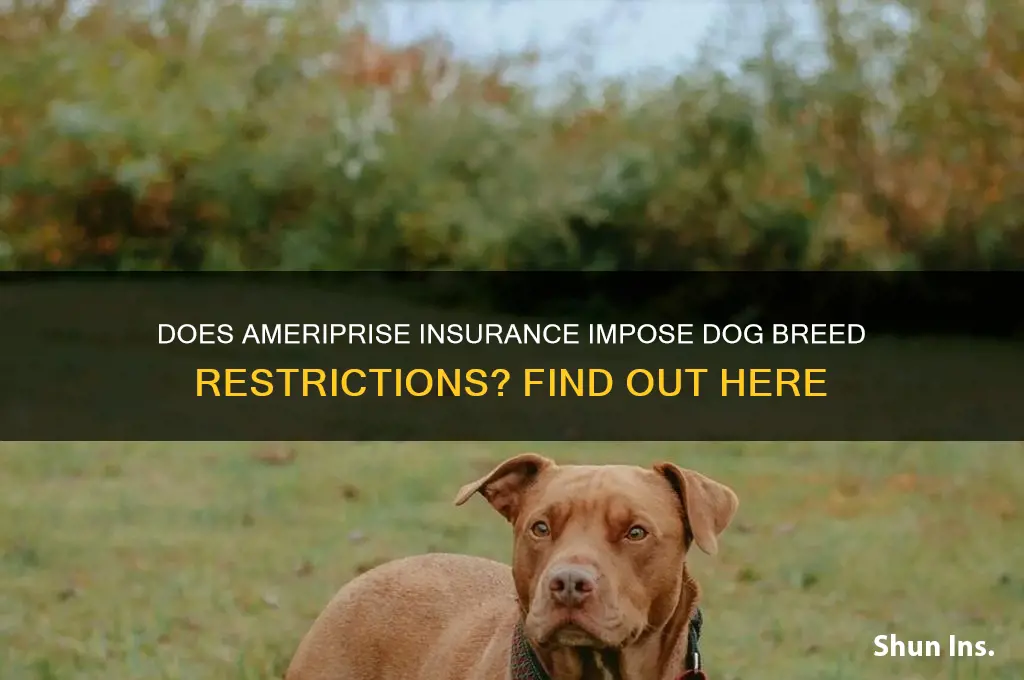does ameriprise insurance have dog breed bans