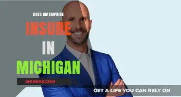 Does Ameriprise Offer Insurance Coverage in Michigan? Find Out Here