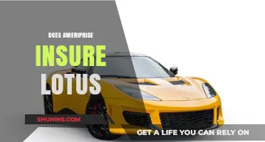 Does Ameriprise Offer Insurance for Lotus Vehicles? A Comprehensive Guide
