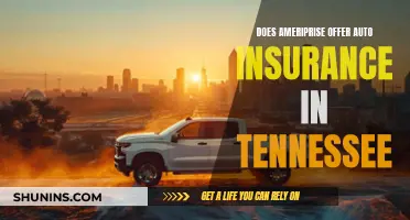 Ameriprise Auto Insurance: Tennessee Coverage and Benefits