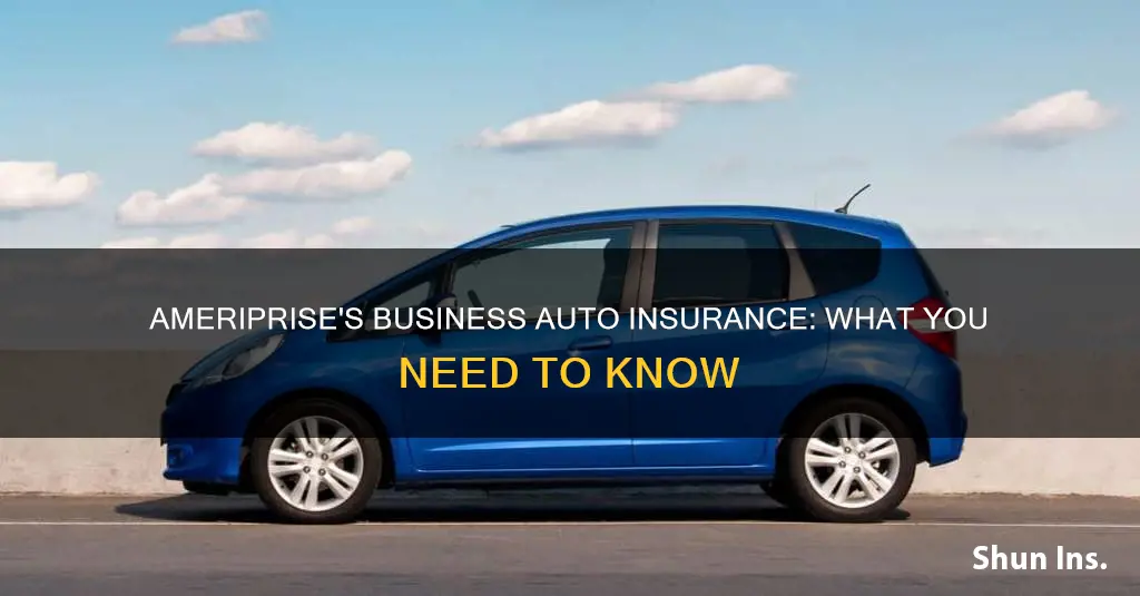 does ameriprise offer business auto insurance