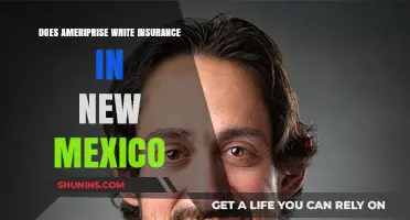Does Ameriprise Offer Insurance Coverage in New Mexico?