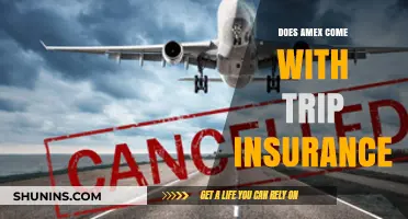 Does Amex Offer Trip Insurance? Benefits and Coverage Explained