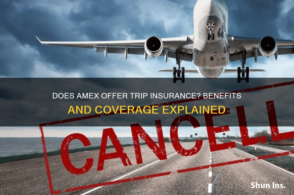 does amex come with trip insurance
