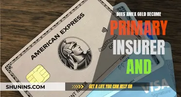 Amex Gold: Primary Insurer Benefits and More