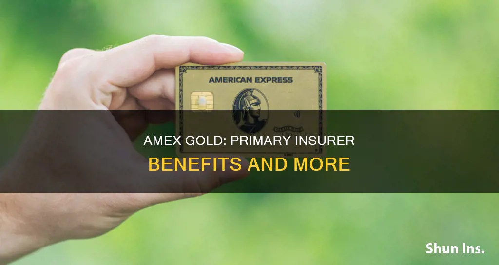 does amex gold become primary insurer and