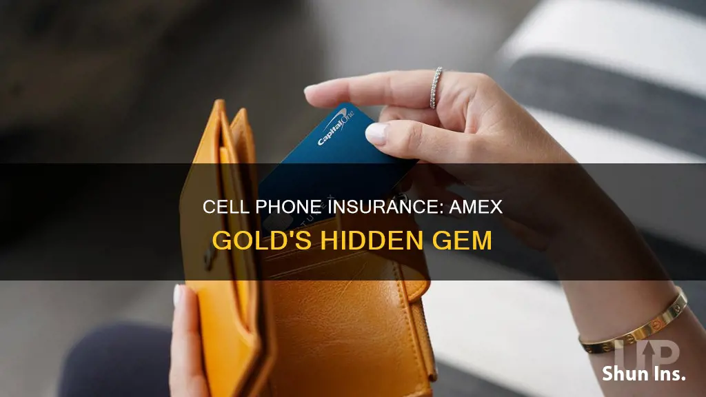 does amex gold have cell phone insurance