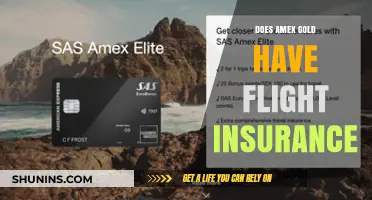 Does Amex Gold Offer Flight Insurance? Benefits and Coverage Explained