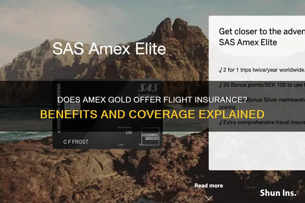 does amex gold have flight insurance