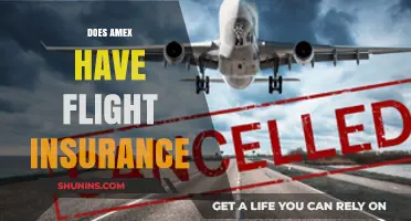 Does Amex Offer Flight Insurance? Coverage Details and Benefits Explained
