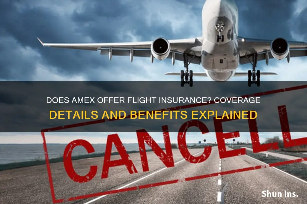 does amex have flight insurance