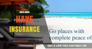 Does Amex Offer Insurance? Exploring Coverage Options for Cardholders