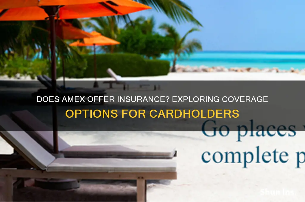 does amex have insurance