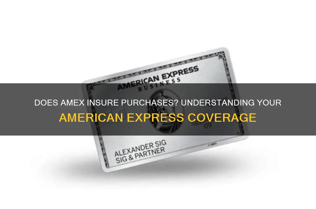 does amex insure purchases