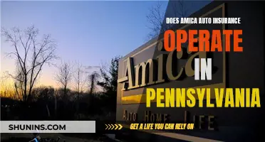 Amica Auto Insurance: Pennsylvania Presence and Particulars