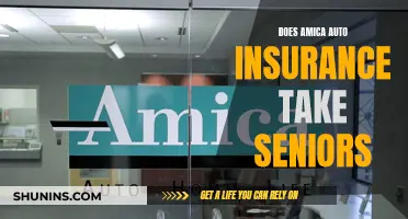 Amica Auto Insurance: Senior-Friendly Coverage?