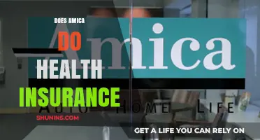 Does Amica Offer Health Insurance? Exploring Coverage Options and Alternatives