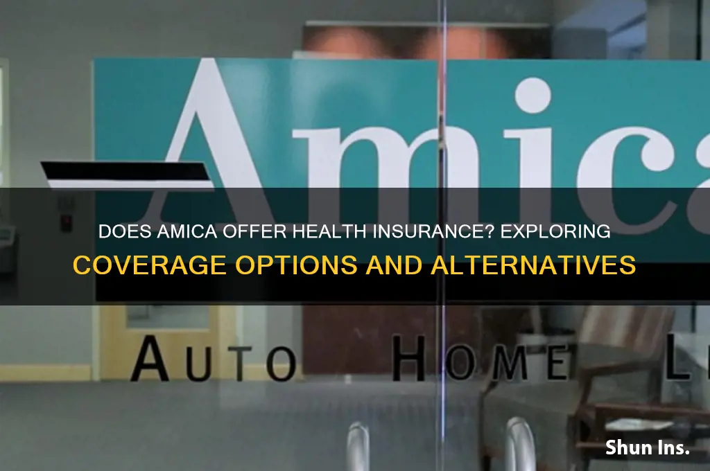 does amica do health insurance