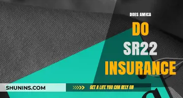 Does Amica Offer SR22 Insurance? A Comprehensive Guide for Drivers