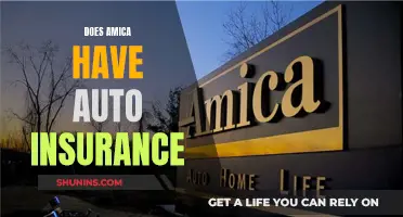 Amica Auto Insurance: What You Need to Know