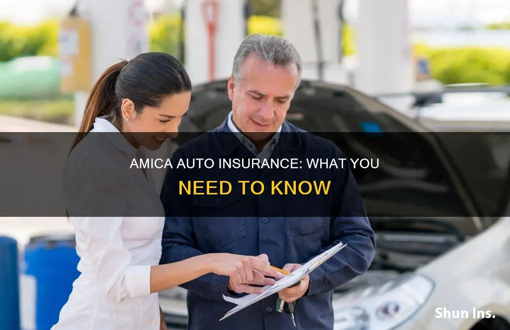 does amica have auto insurance