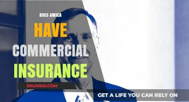 Amica's Commercial Insurance: What You Need to Know