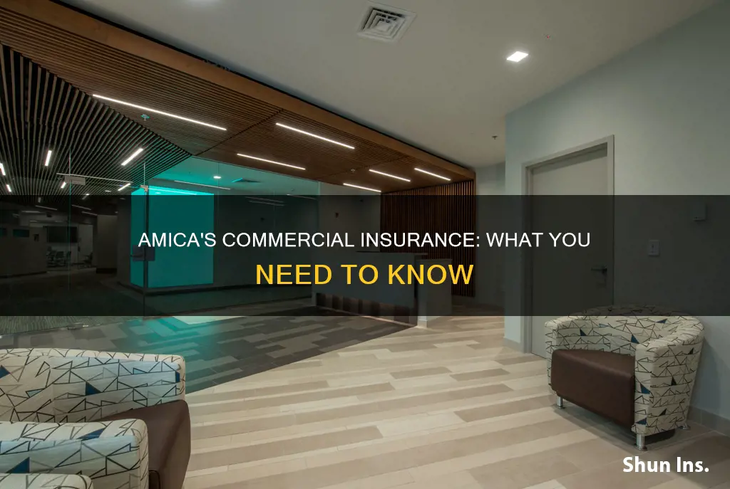 does amica have commercial insurance