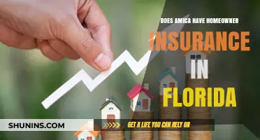Amica's Homeowner Insurance: Available in Florida?