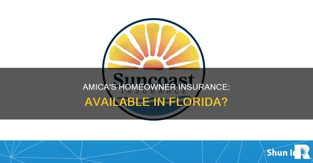 does amica have homeowner insurance in Florida