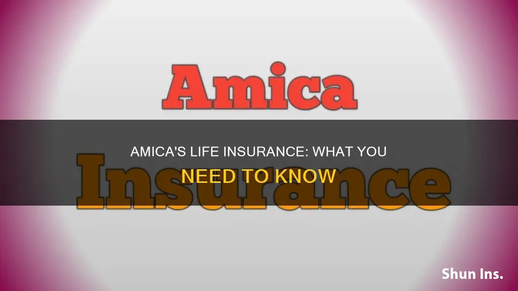 does amica have life insurance