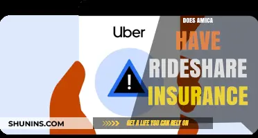 Does Amica Offer Rideshare Insurance? Coverage Options Explained