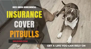 Amica's Home Insurance: Pitbull Coverage and You