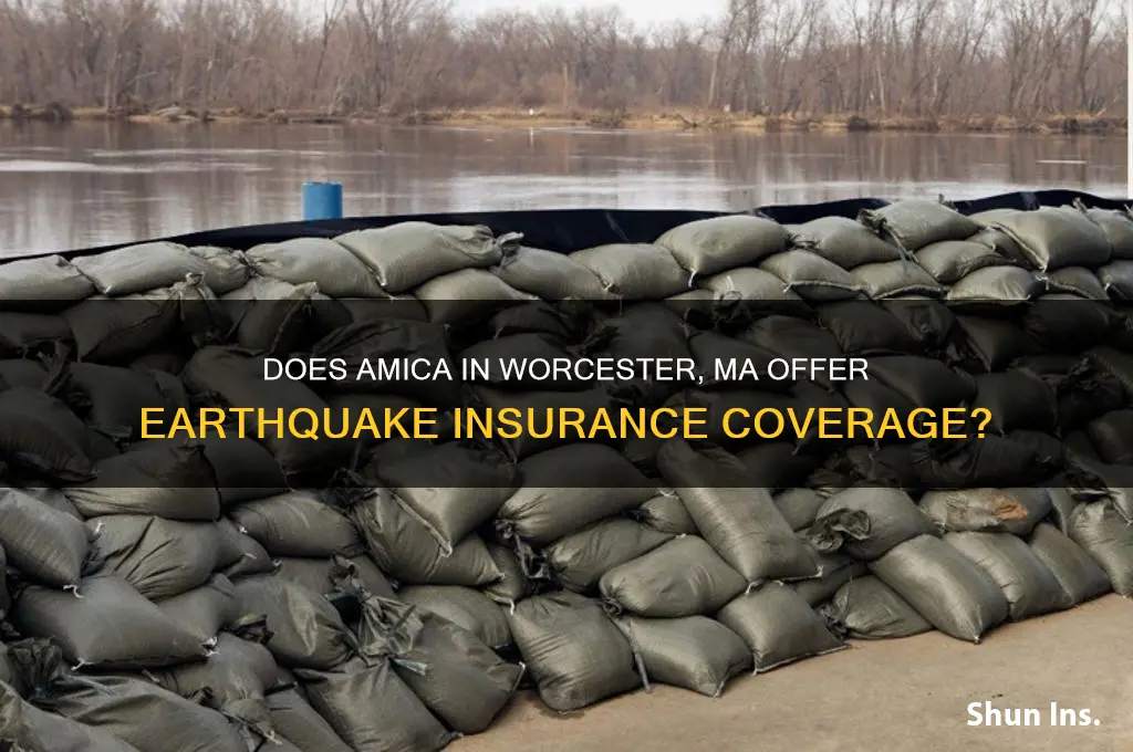 does amica in worcester ma handle earthquake insurance