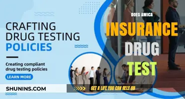 Does Amica Insurance Drug Test? What You Need to Know