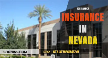 Does Amica Insurance in Nevada Meet Your Coverage Needs?