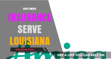 Does Amica Insurance Serve Louisiana? Coverage Details and Availability Explained