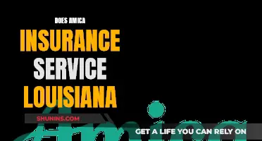 Amica Insurance in Louisiana: Service Excellence or Hidden Costs?